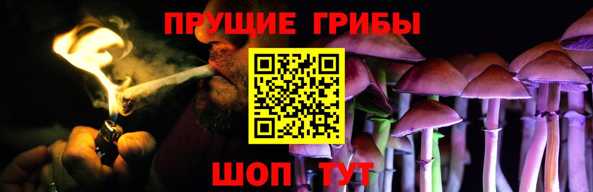 Кириши  Галлюциногенные грибы Cubensis  Вход с VPN 